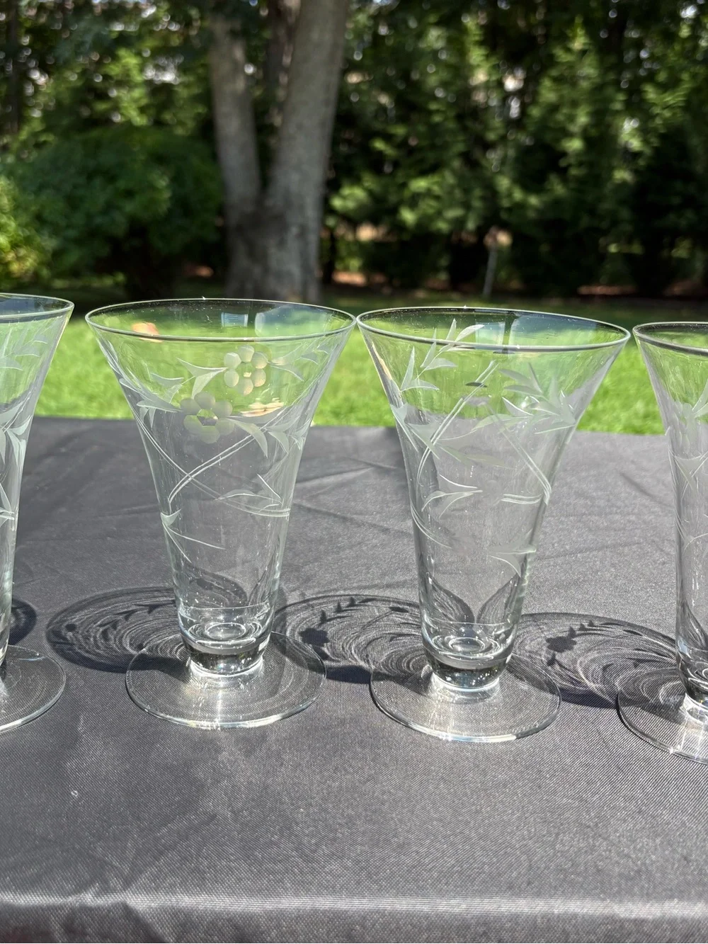 Vintage Etched Crystal Water Glasses - Clear (Set of 5)